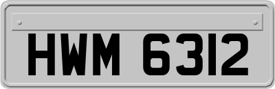 HWM6312