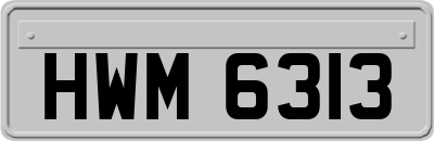 HWM6313