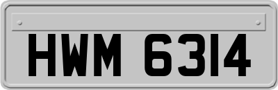 HWM6314