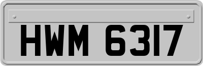 HWM6317