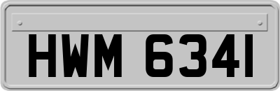 HWM6341