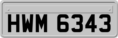 HWM6343
