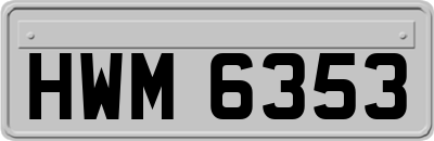 HWM6353