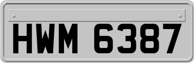 HWM6387