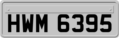 HWM6395