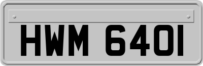 HWM6401