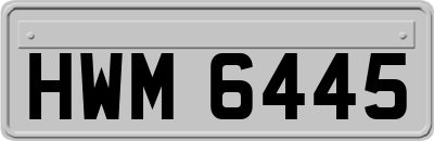 HWM6445
