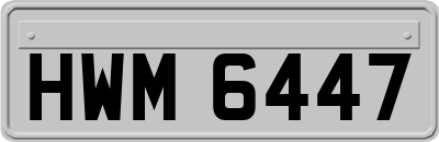 HWM6447
