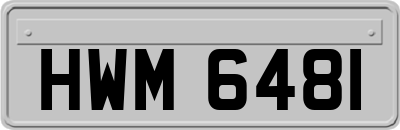HWM6481