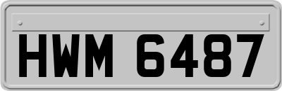 HWM6487