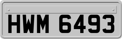 HWM6493