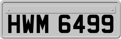 HWM6499