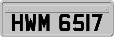 HWM6517