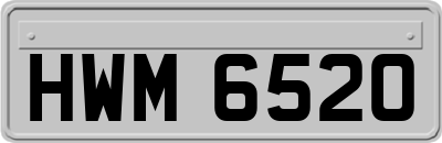 HWM6520