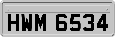 HWM6534