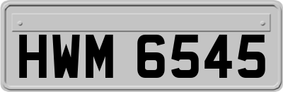HWM6545