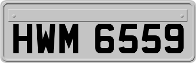 HWM6559