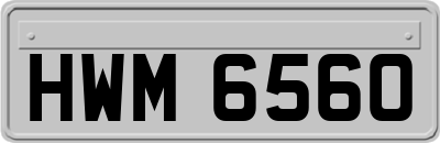 HWM6560