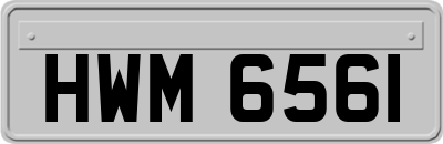 HWM6561