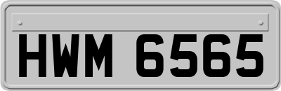 HWM6565