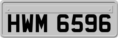 HWM6596