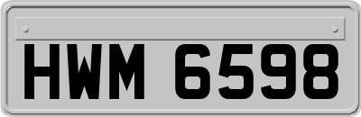 HWM6598