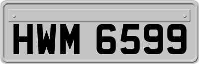 HWM6599