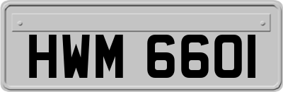 HWM6601