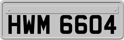 HWM6604