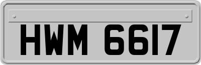 HWM6617