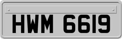 HWM6619