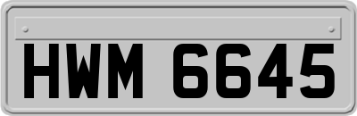 HWM6645