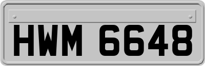 HWM6648