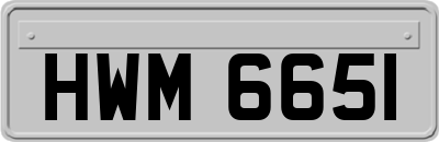HWM6651