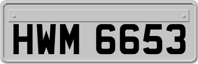 HWM6653