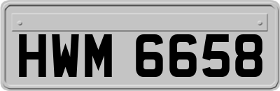 HWM6658