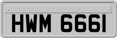 HWM6661