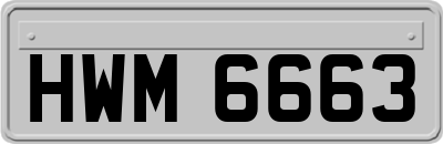 HWM6663