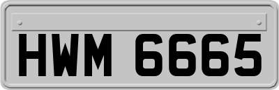 HWM6665