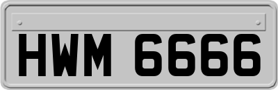 HWM6666
