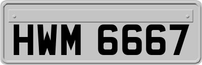 HWM6667