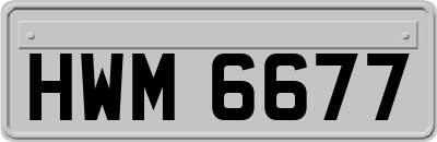 HWM6677