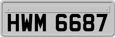 HWM6687