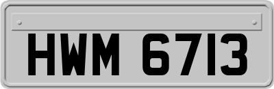 HWM6713
