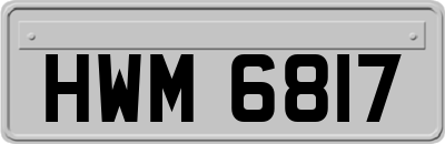 HWM6817