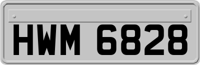HWM6828