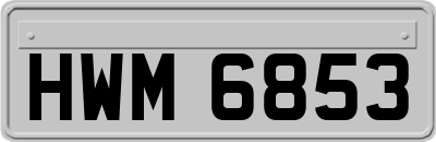 HWM6853