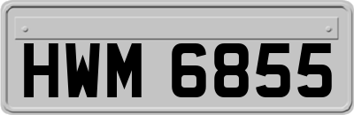 HWM6855