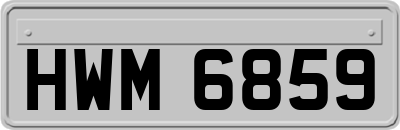 HWM6859