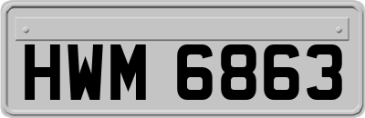HWM6863